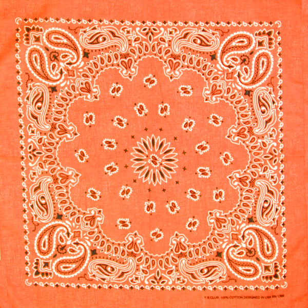 bandana orange 2